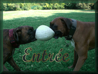 entrée